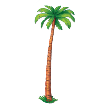 Picture of PALM TREE