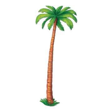 Image de PALM TREE
