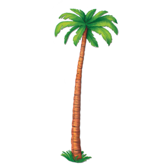 Image sur PALM TREE