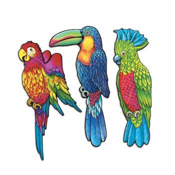 Image de PKG EXOTIC BIRD CUT.