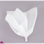 Picture of WHITE TISSUE SHEETS