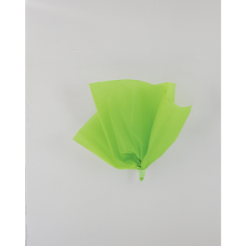 Image de LIME GREEN TISSUE SHEETS