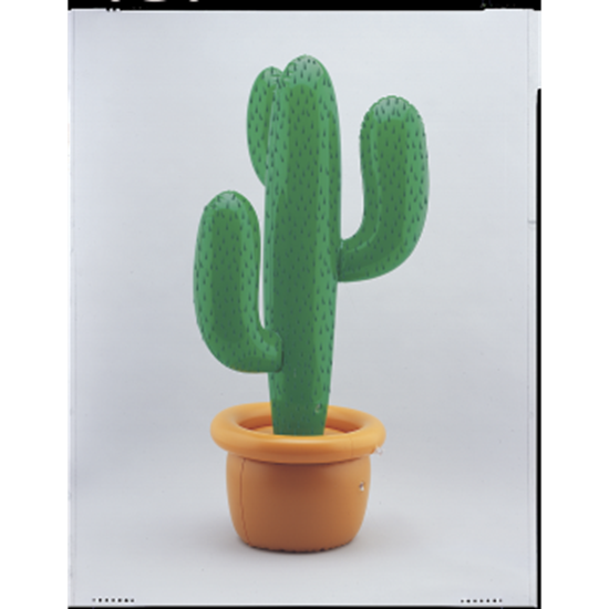 Picture of INFLATABLE CACTUS