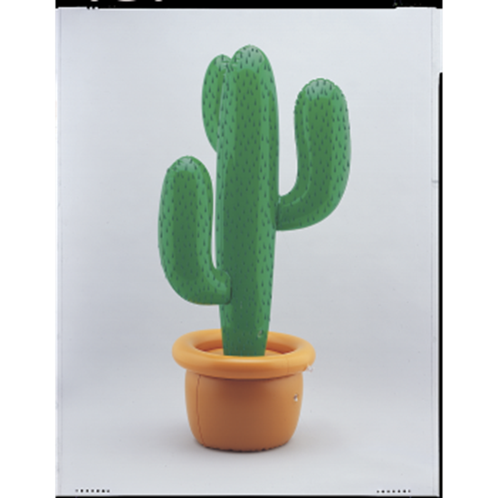 PartyMart. INFLATABLE CACTUS
