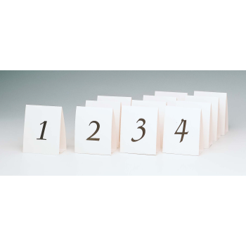 Image de TABLE NO. TENT PLACECARD 1-12