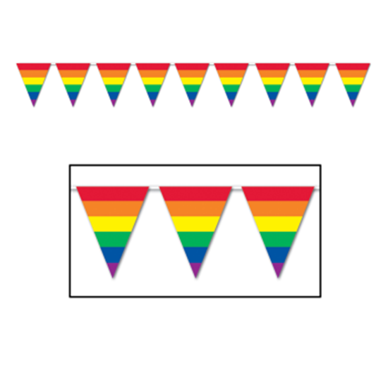 Image sur RAINBOW PENNANT BANNER