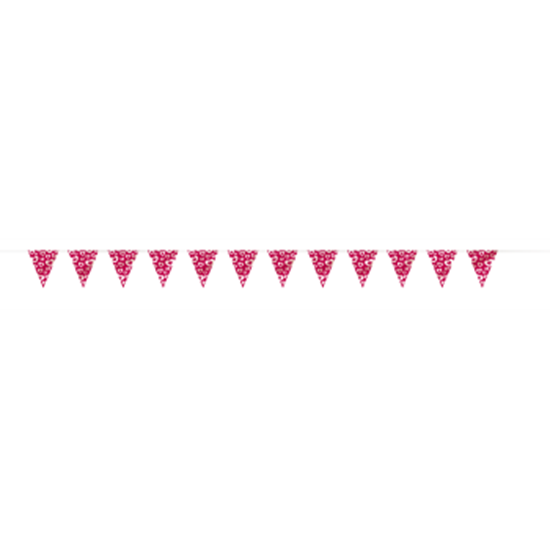 Picture of DECOR - HEARTS AFIRE PENNANT BANNER