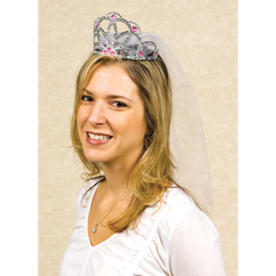 Picture of BRIDE TO BE TIARA W/ VEIL