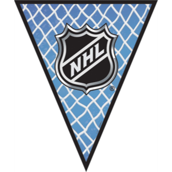 Picture of NHL PENNANT BANNER