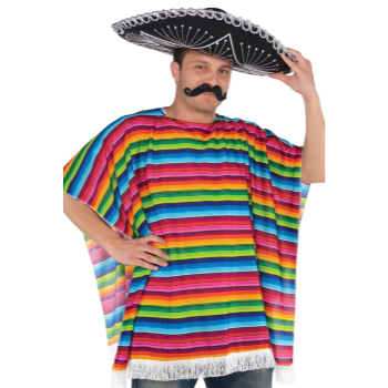 Picture of FIESTA MULTI COLOR SERAPE