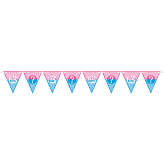 Picture of GENDER REVEAL - GIRL OR BOY? PENNANT BANNER