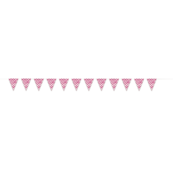 Image de HOT PINK DOTS 12'  FLAG BANNER