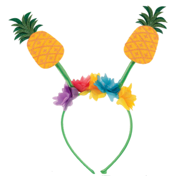 Image de PINEAPPLE HEADBAND