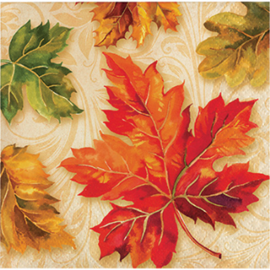 Picture of FALL FLOURISH BN (324033)