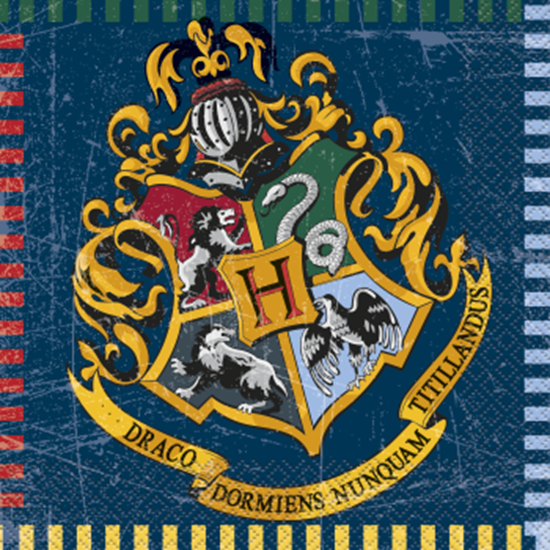 Image sur HARRY POTTER - LUNCHEON NAPKINS