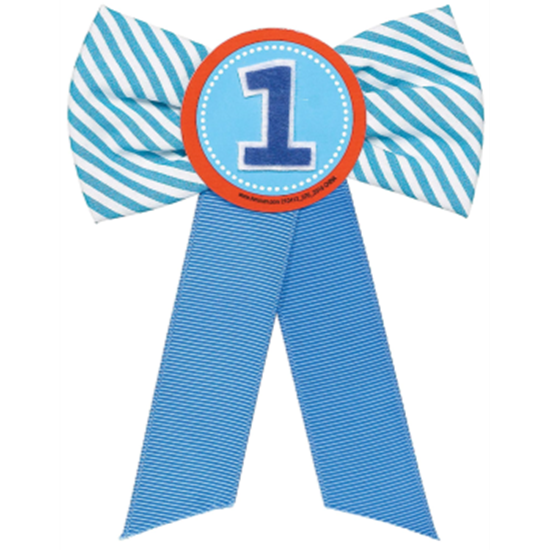 Image sur WEARABLES - RIBBON PIN - FIRST BIRTHDAY BLUE
