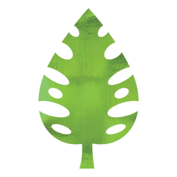 Image de GIANT PALM LEAVES
