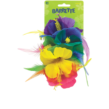 Image de RAINBOW DLX HAIR CLIP