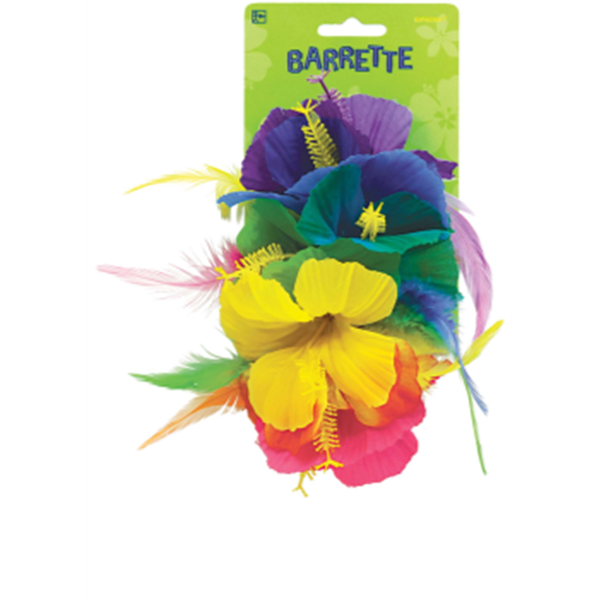 Picture of RAINBOW DLX HAIR CLIP