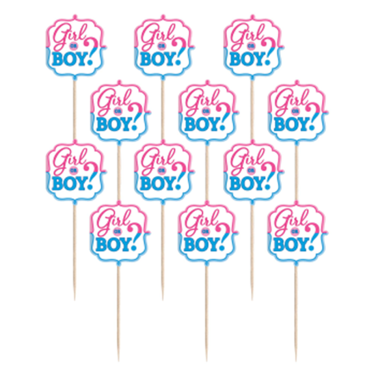 Picture of GENDER REVEAL - GIRL OR BOY PARTY PICKS