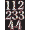 Image sur SPARKLING CELEBRATION ADD ANY AGE SASH