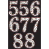 Image sur SPARKLING CELEBRATION ADD ANY AGE SASH