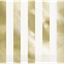 Picture of GOLD FOIL STRIPES LUNCHEON NAPKIN