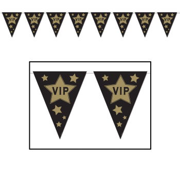 Picture of VIP PENNANT BANNER