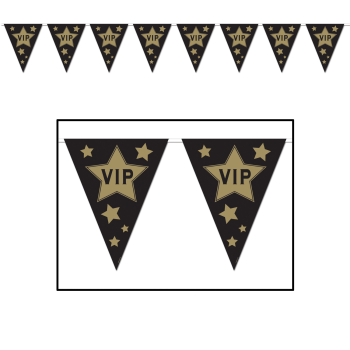 Image de VIP PENNANT BANNER