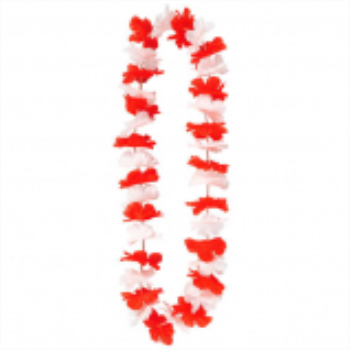 Image de 20" CANADA LEI