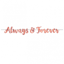 Picture of NAVY BRIDE FOIL LETTER BANNER