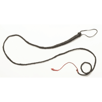 Image de WHIP - BLACK 6'