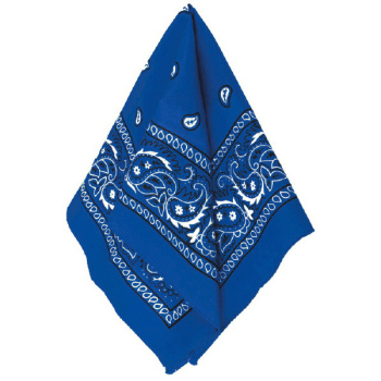 Picture of BLUE BANDANAS