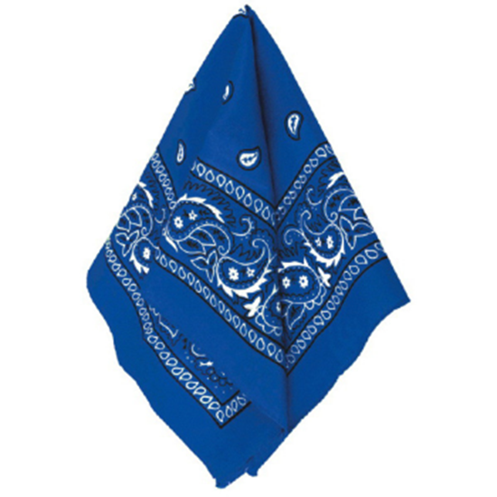 Picture of BLUE BANDANAS