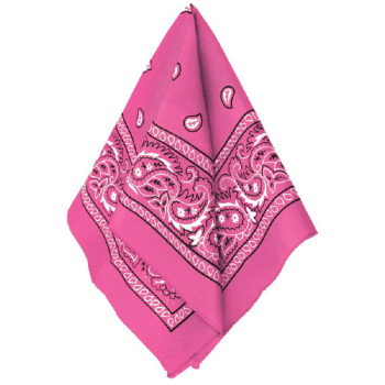 Picture of PINK BANDANAS