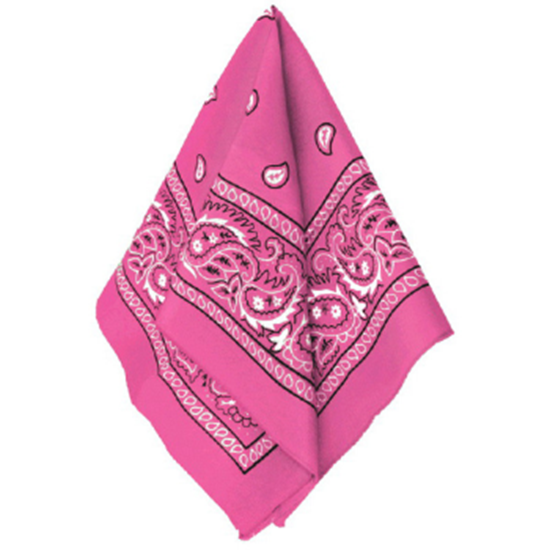 Image sur PINK BANDANAS