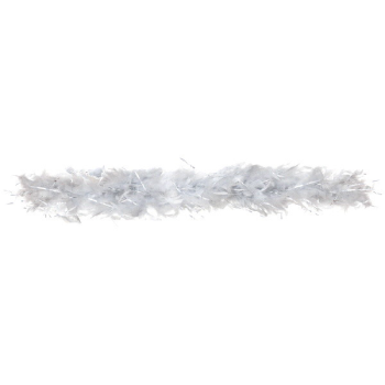 Image de SILVER BOA