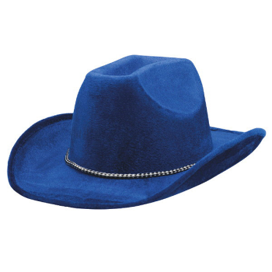 Image sur BLUE FELT COWBOY HAT