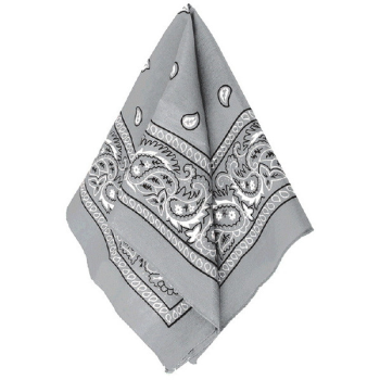 Image de SILVER BANDANAS