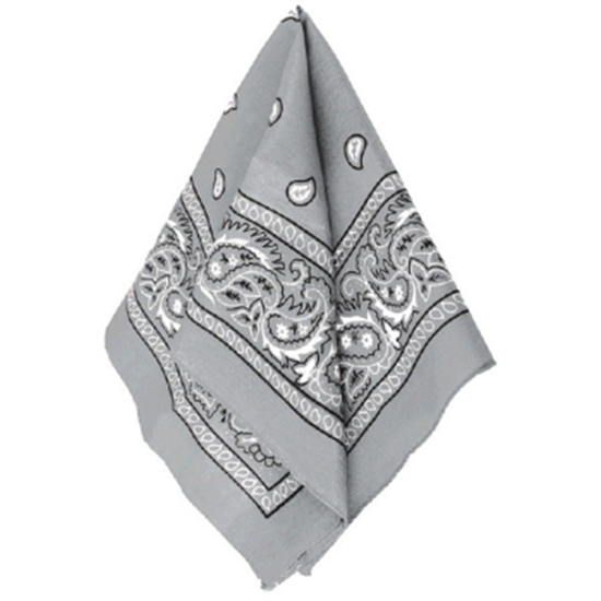 Image sur SILVER BANDANAS