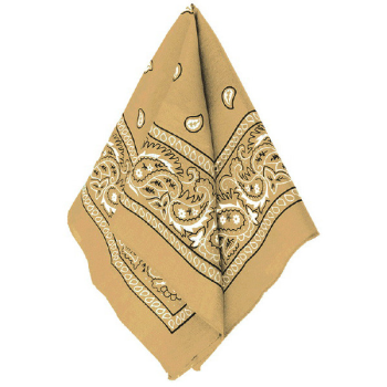 Image de GOLD BANDANAS