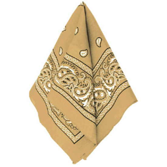 Image sur GOLD BANDANAS