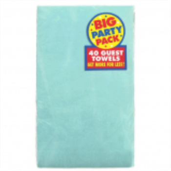 Picture of ROBIN'S EGG BLUE GUEST TOWELS 
