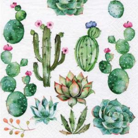 Picture of GREEN CACTUS - LUNCHEON NAPKINS