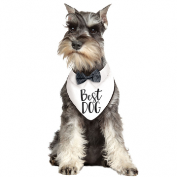 Image de WEDDING BANDANNA - BEST DOG