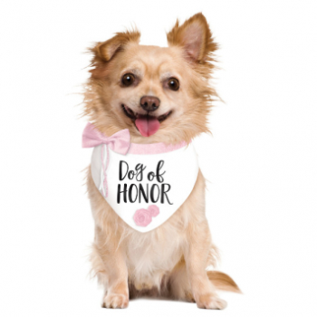 Image de WEDDING BANDANNA - DOG OF HONOR