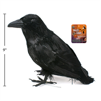 Image de BLACK CROW 9''