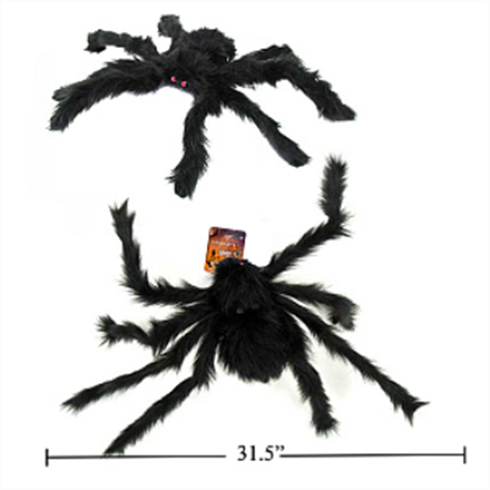 Picture of GIANT BLACK FURRY SPIDER