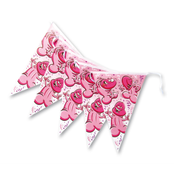 Image de NAUGHTY PENNANT BANNER