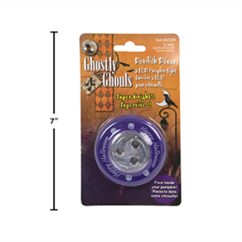 Image de PUMPKIN LED LIGHT